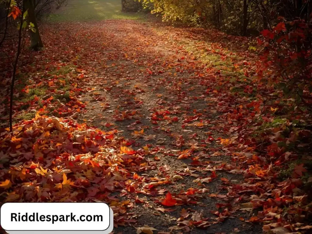 Leaf Pile & Walkway Riddles