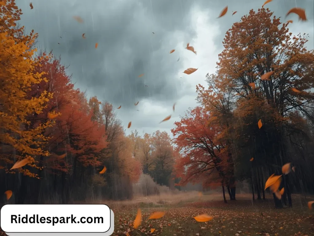 Wind & Weather Riddles