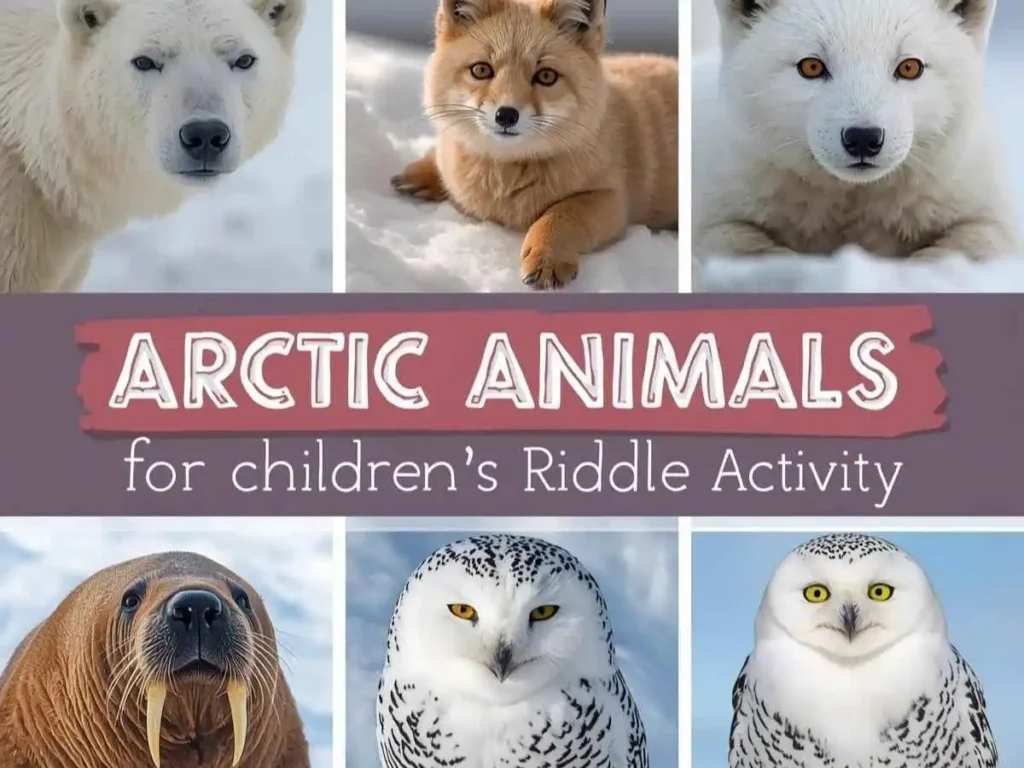 Arctic Animal Riddles for Kids