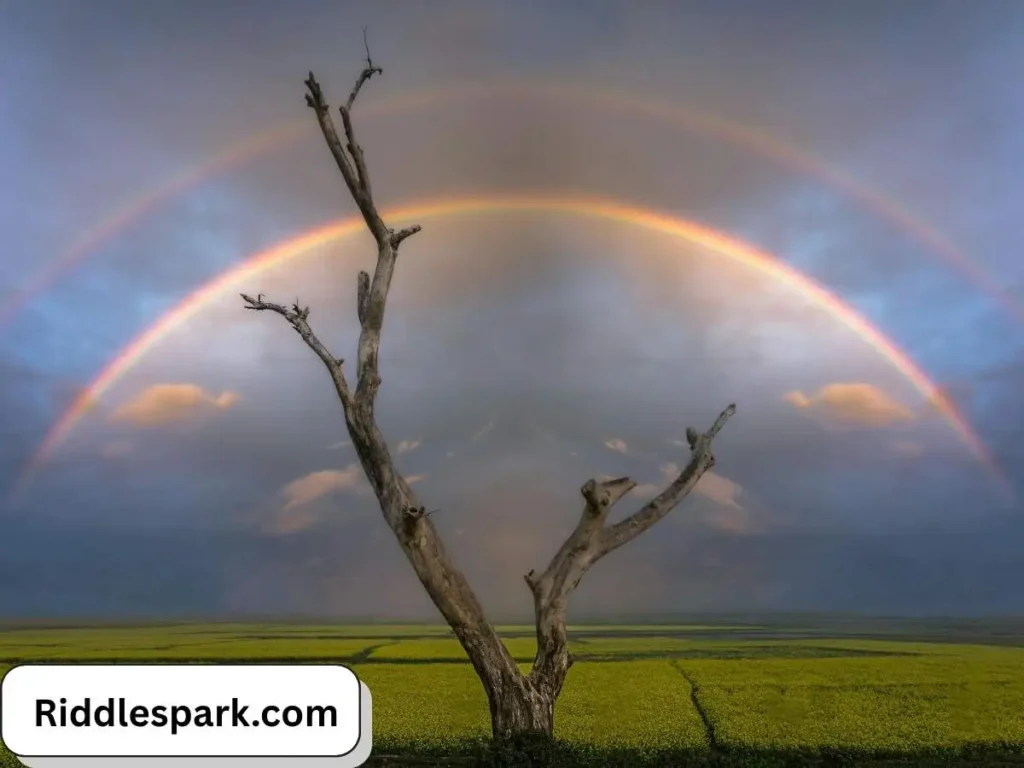 Rainbow March Riddles for Kids