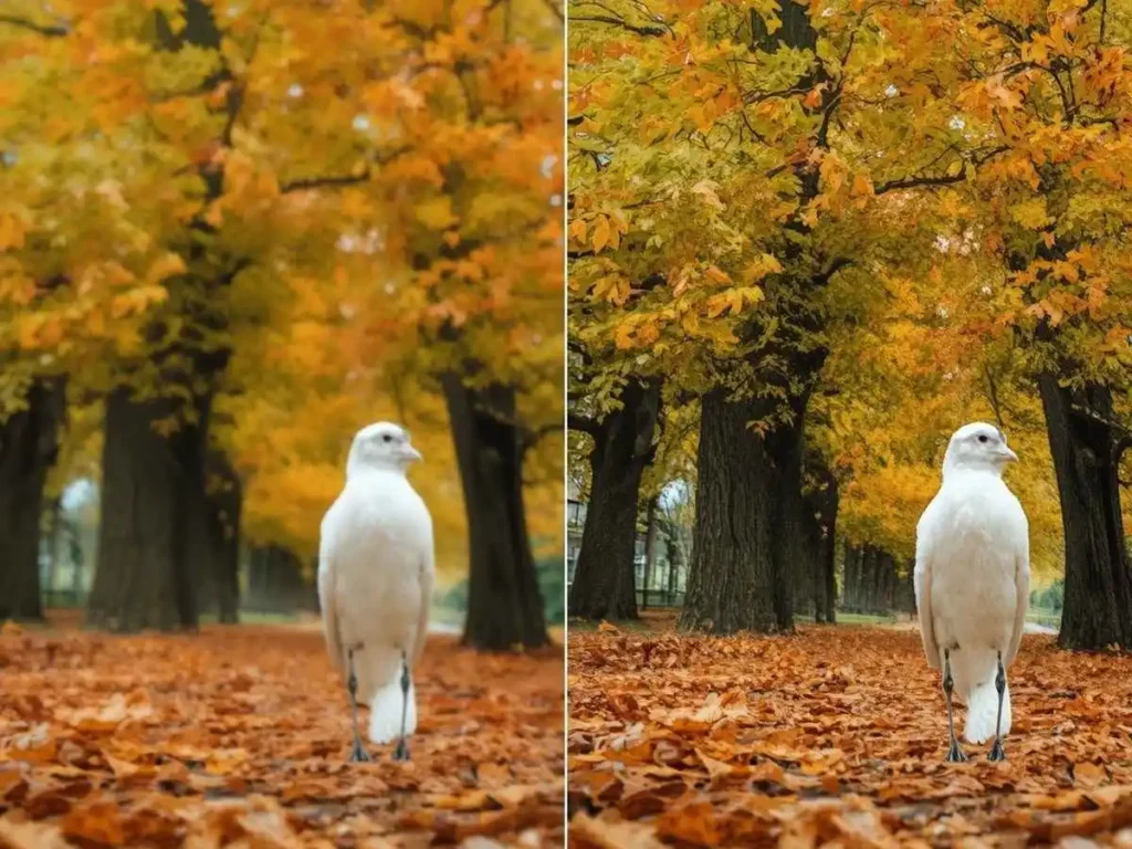 Spot the Difference Picture Riddles