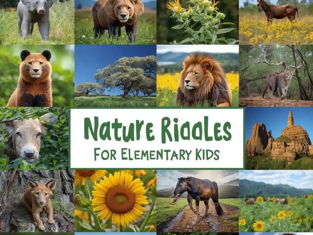 Nature Riddles for Elementary Kids