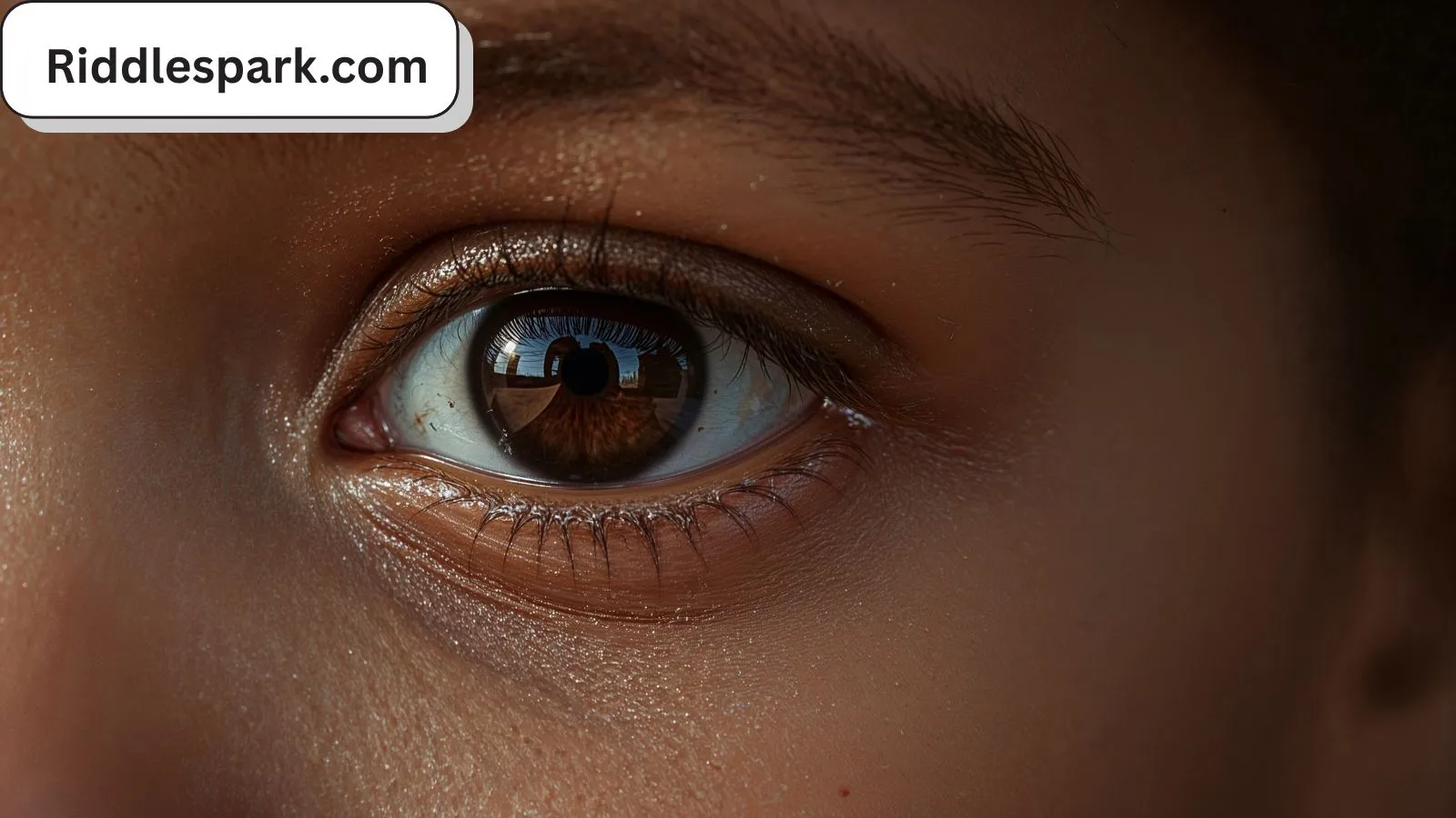 287+ Visual Riddles for Kids with Answers for 2025